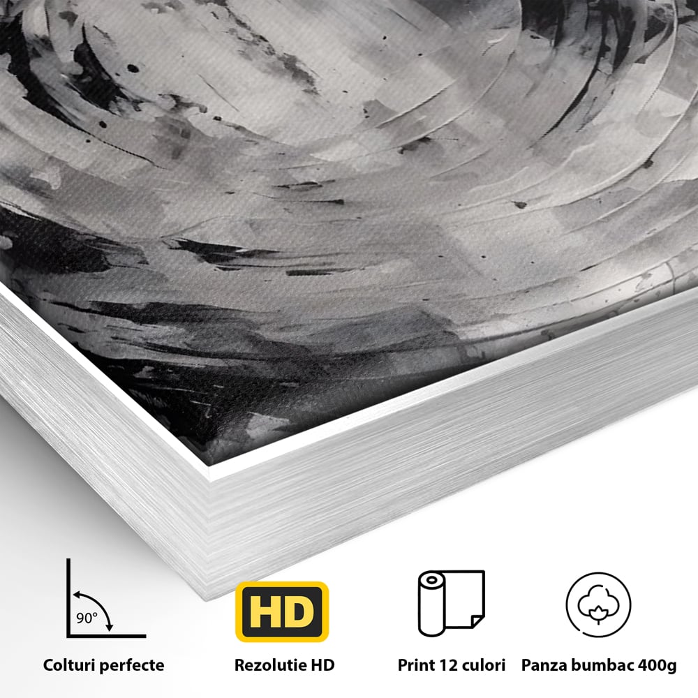 Detaliu al suprafetei: tablou canvas cu cerc abstract, in rama de aluminiu argintiu